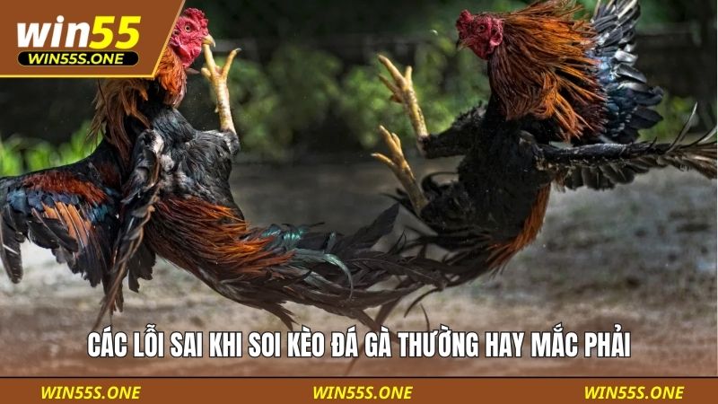 Tổng Hợp Các Lỗi Sai Khi Soi Kèo Đá Gà Phổ Biến Nhất 2 Các lỗi sai khi soi kèo đá gà thường hay mắc phải