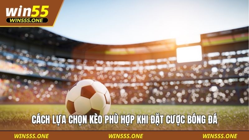 Tips Đặt Cược Bóng Đá An Toàn Cho Người Mới Dễ Áp Dụng 5 Cách lựa chọn kèo phù hợp khi đặt cược bóng đá