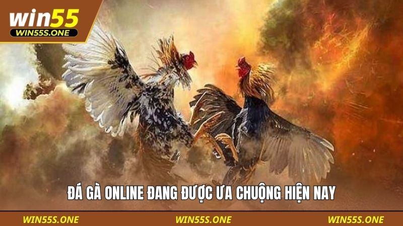 Hướng Dẫn Đặt Cược Đá Gà Cho Người Mới Tại Win55 Từ A–Z 2 Đá gà online đang được ưa chuộng hiện nay
