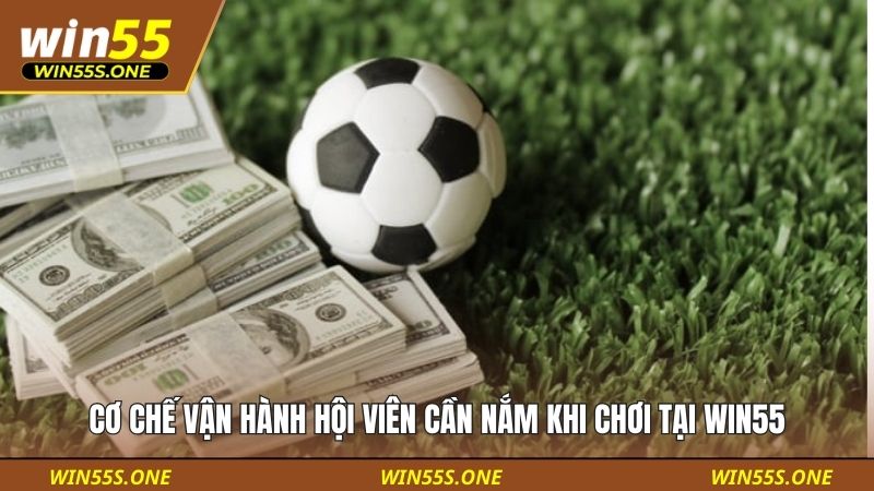 Cơ chế vận hành hội viên cần nắm khi chơi tại Win55