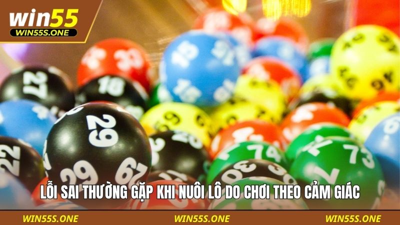 Lỗi Sai Thường Gặp Khi Nuôi Lô Khiến Người Chơi Dễ Cháy Vốn 3 Lỗi sai thường gặp khi nuôi lô do chơi theo cảm giác