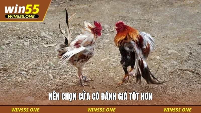 Hướng Dẫn Đặt Cược Đá Gà Cho Người Mới Tại Win55 Từ A–Z 3 Nên chọn cửa có đánh giá tốt hơn