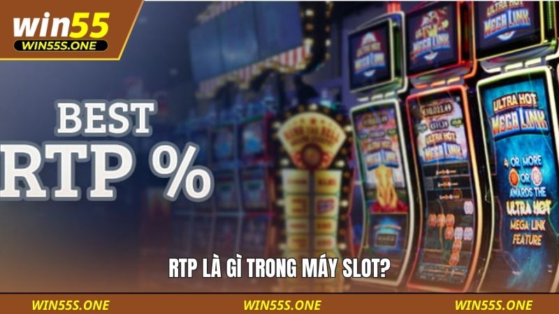 Slot Volatility Là Gì Cách Áp Dụng - Kinh Nghiệm Của Cao Thủ 3 RTP là gì trong máy slot?