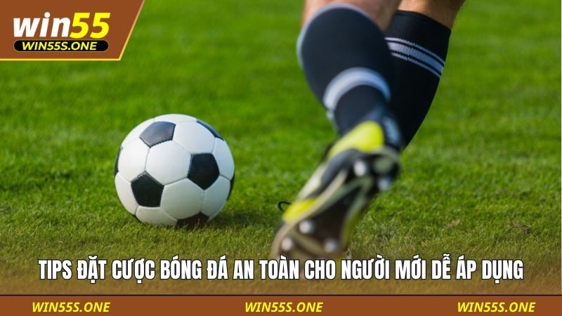 Tips Đặt Cược Bóng Đá An Toàn Cho Người Mới Dễ Áp Dụng 1 Tips đặt cược bóng đá an toàn cho người mới