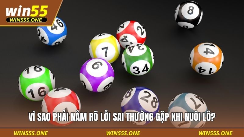 Lỗi Sai Thường Gặp Khi Nuôi Lô Khiến Người Chơi Dễ Cháy Vốn 2 Vì sao phải nắm rõ lỗi sai thường gặp khi nuôi lô?